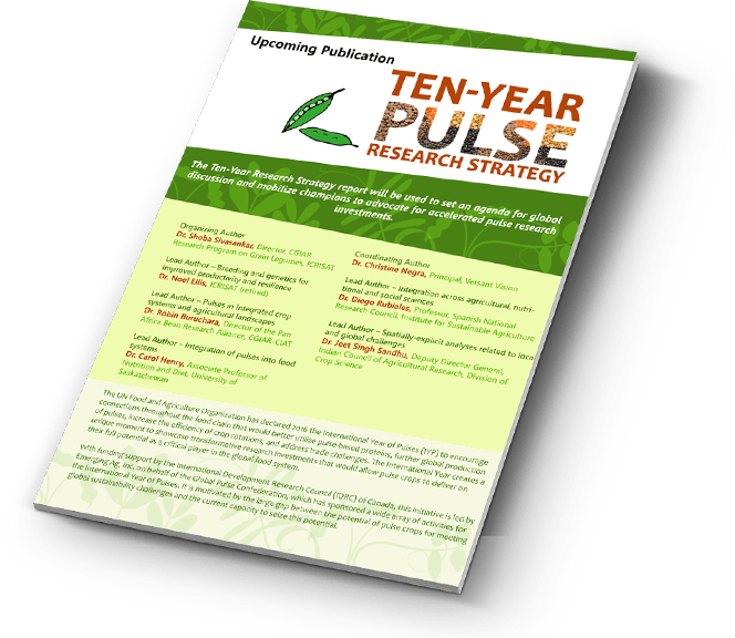 Upcoming Publication: Ten-year Pulse Research Strategy