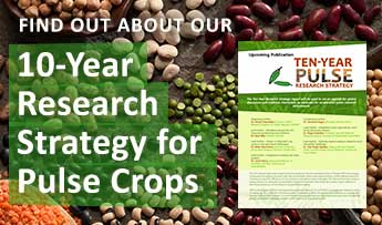 Find Out About Our 10-Year Research Strategy for Pulse Crops
