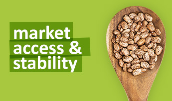 Market Access & Stability