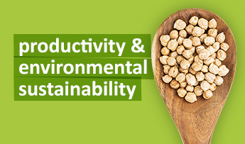 Productivity & Environmental Sustainability